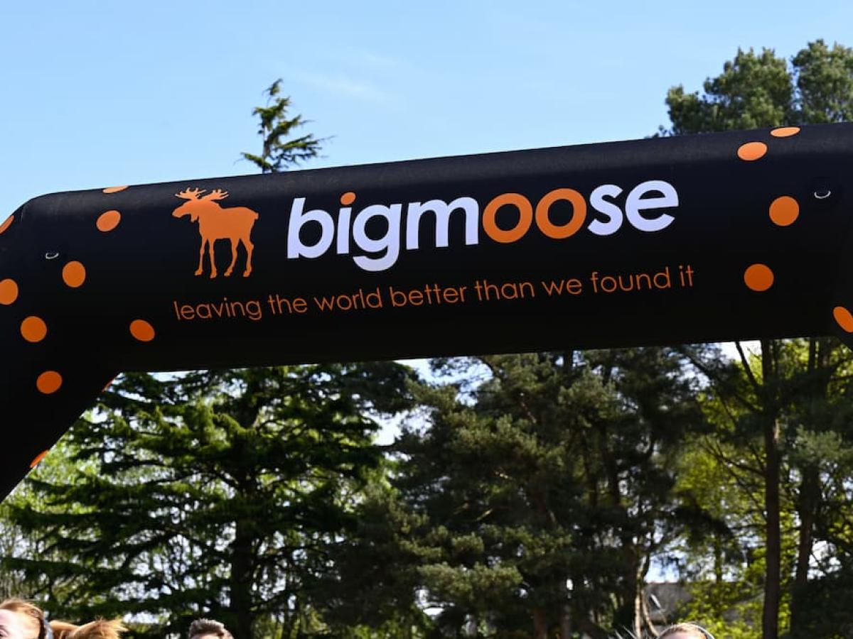 bigmoose ulta fun run banner