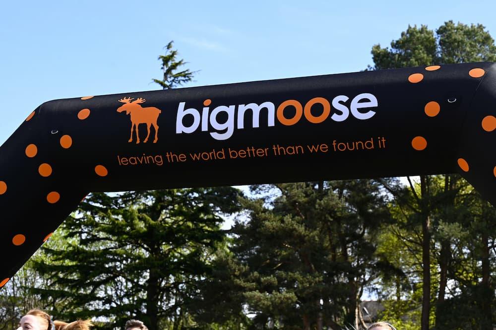 bigmoose ulta fun run banner